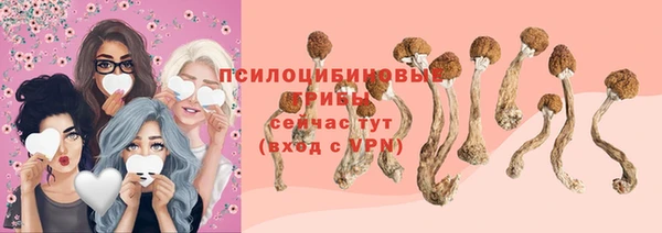 спиды Алексин